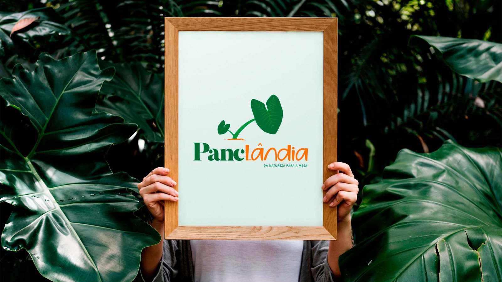 Panclândia - imagem de apresentação